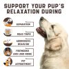 Calming Chews for Dogs with Hemp Oil Aid During Thunderstorms Separation Car Rides Hip and Joint Health Tasty Dog Calming Treats with Beef Flavor 180