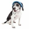 Pet Life 'Sea Spot Sun' Uv Protectant Adjustable Fashion Mesh Brimmed Dog Hat Cap